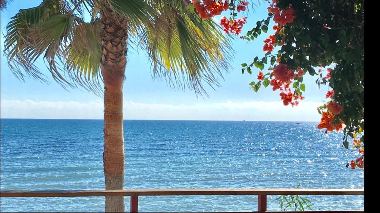 Mi Capricho Beachfront- 3-7 With Sea Views Sitio de Calahonda